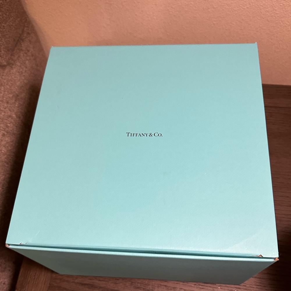Tiffany & Co large box.